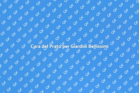 Manutenzione del Prato Perfetto