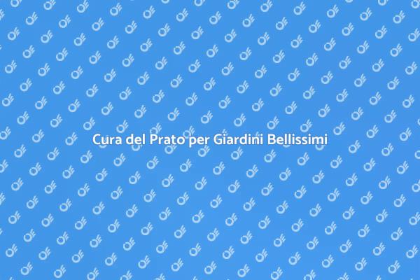 Prato Sano: Manutenzione Efficace
