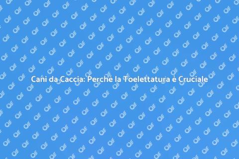 Toelettatura Cani da Caccia Essenziale