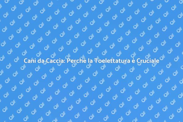 Toelettatura per Cani: Un Necessario Servizio