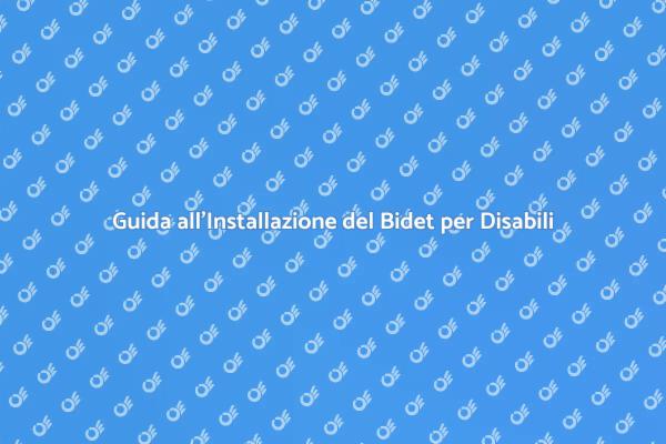 Bidet per Disabili: Guida all'Installazione