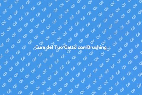 Brushing Professionale per Gatti