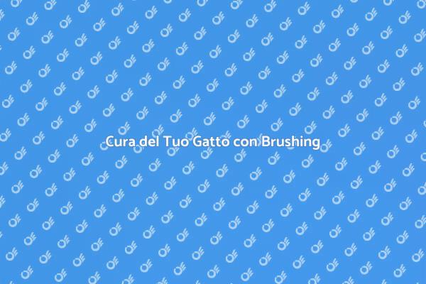 Brushing: Salute e Bellezza per Gatti