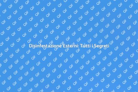 Disinfestare Esterni: Guida Completa