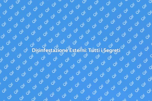 Come Disinfestare gli Esterni Efficacemente