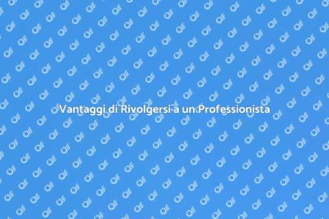 Professionista per Ristrutturazioni e Giardinaggio