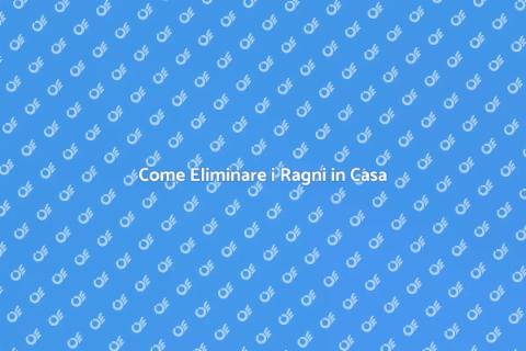 Sterminare i Ragni: Guida Efficace