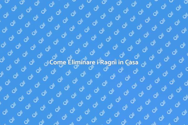 Liberati dai Ragni in Casa