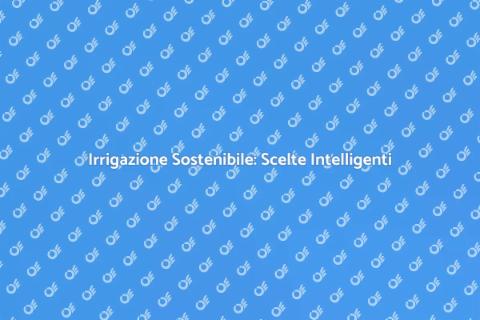 Sistema Irrigazione Efficiente e Economico