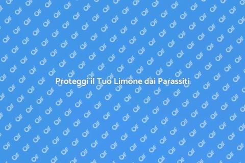 Prevenire Parassiti Piante di Limone