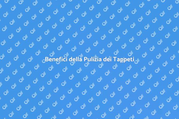 Tappeti Sempre Puliti e Salubri