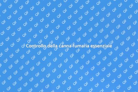 Ispezione della canna fumaria