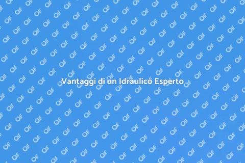 Idraulico Professionista: Servizi e Vantaggi