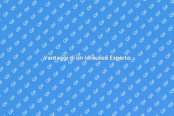 Perché Scegliere un Idraulico Professionista