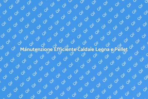 Manutenzione Caldaie a Legna e Pellet