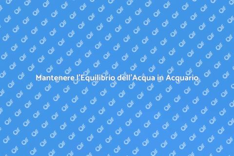 Equilibrio Acqua Acquario: Guida Essenziale