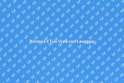 Lavare a Pressione il Vostro Viale