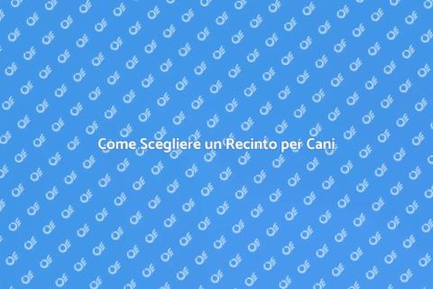 Recinto Temporaneo per Cani: Guida