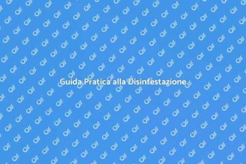 Disinfestazione da Scarafaggi Efficace