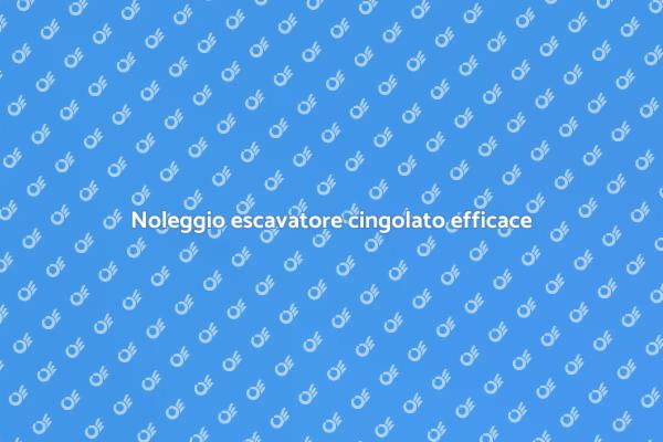 Escavatore cingolato: la soluzione perfetta