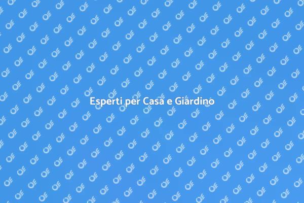 Scopri i Nostri Servizi di Qualità