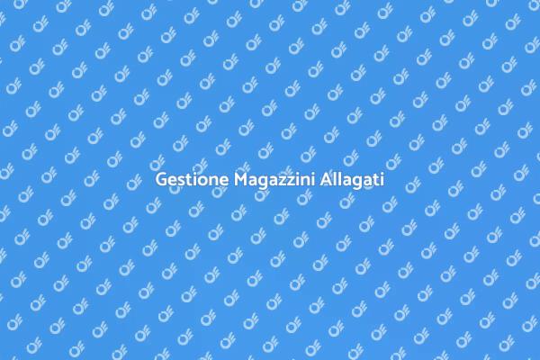 Bonifica Efficace di Magazzini Allagati
