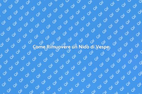 Rimozione Nido di Vespe: Guida Pratica
