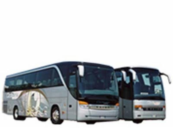 Ciccimarra Carlo e Figli Srl  - Foto 1