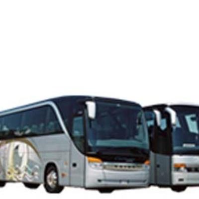 Ciccimarra Carlo e Figli Srl