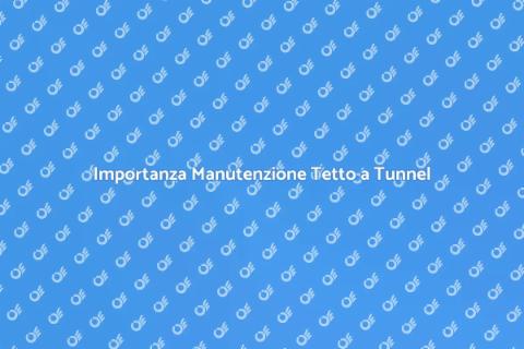Manutenzione Tetto a Tunnel Essenziale