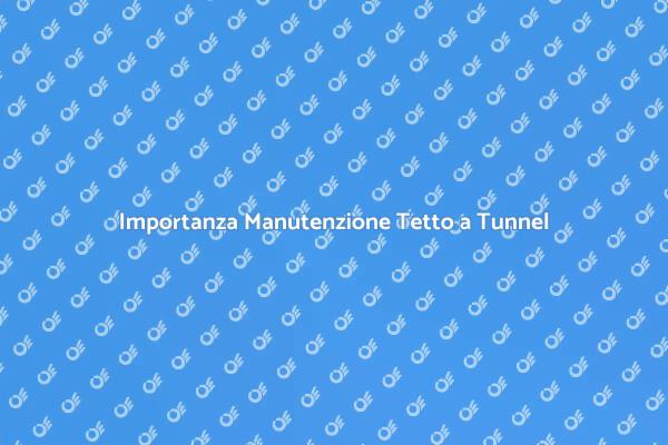 Manutenzione Efficace del Tetto a Tunnel