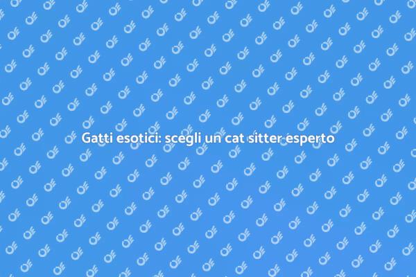 Scopri il cat sitter ideale per gatti