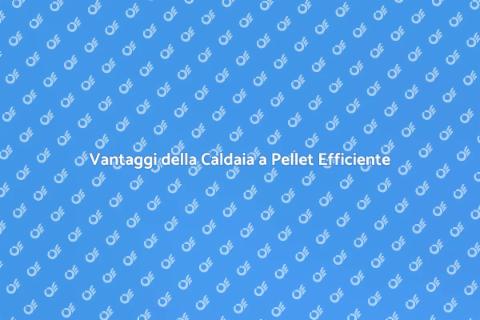 Caldaia a Pellet: Vantaggi e Prestazioni