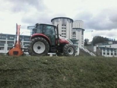 Bounous Luca - Lavori di Giardinaggio  - Foto 8