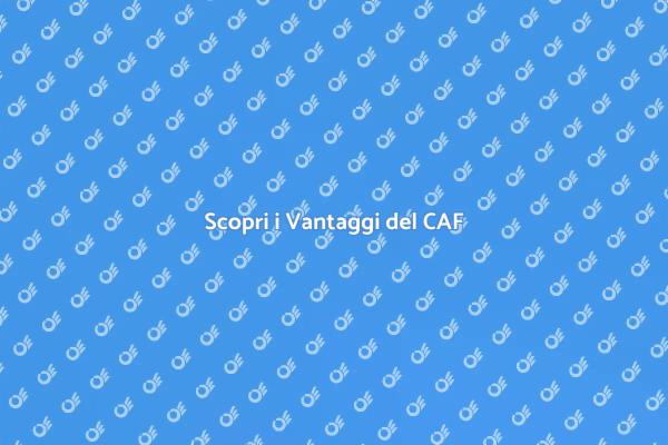 La Consulenza del CAF: Un Servizio Prezioso