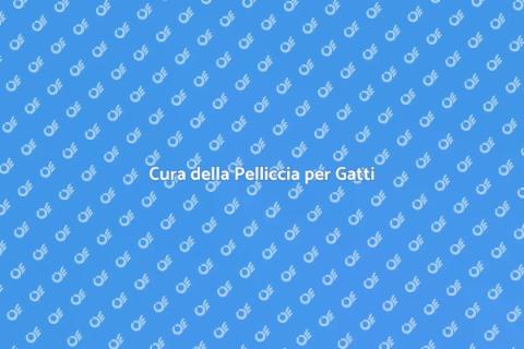 Brushing Professionale per Gatti