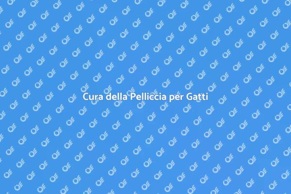 Brushing: Salute e Bellezza per Gatti