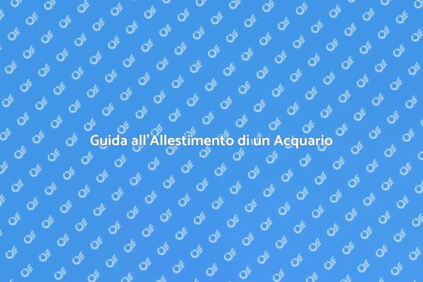 Allestire il Tuo Acquario Marino