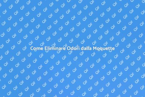 Rimozione Odori dalla Moquette