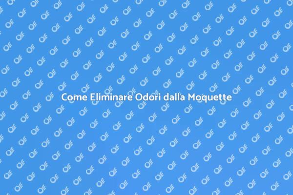 Liberati dagli Odori della Moquette