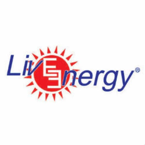LIVE ENERGY SRL - Foto 1