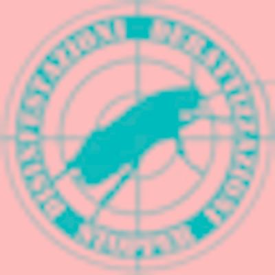 Disinfestazioni Derattizzazioni Stopper  - Foto 1