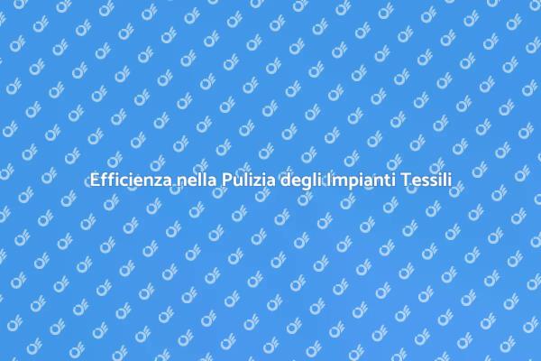 Pulizia Efficiente per Tessuti di Qualità