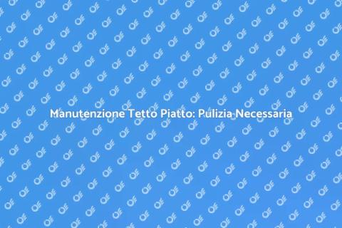 Pulizia Tetto Piatto: Guida Essenziale