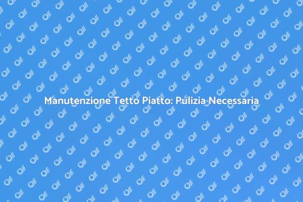 Manutenzione Essenziale: Pulizia Tetto Piatto