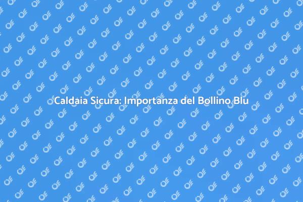 Bollino Blu: Sicurezza della Caldaia