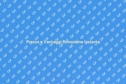 Costo Rimozione Isolante Tetto