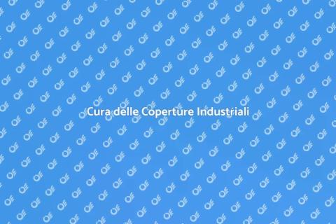 Manutenzione Coperture Industriali