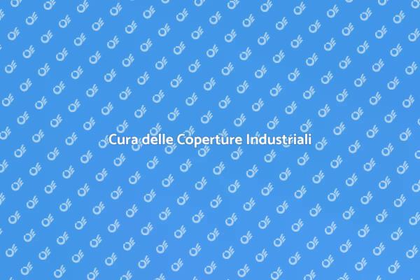 Manutenzione delle Coperture Metallo