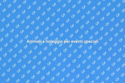 Affitto animali per eventi locali
